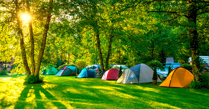 location dans un camping pêche sur la Charente-Maritime