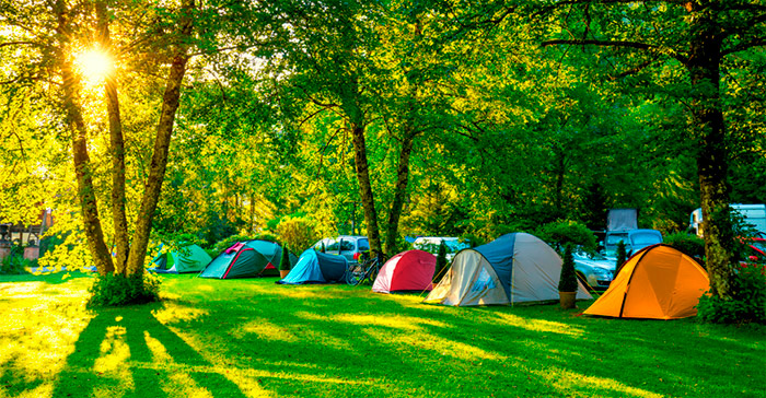 location en Charente-Maritime dans un camping à taille humaine 