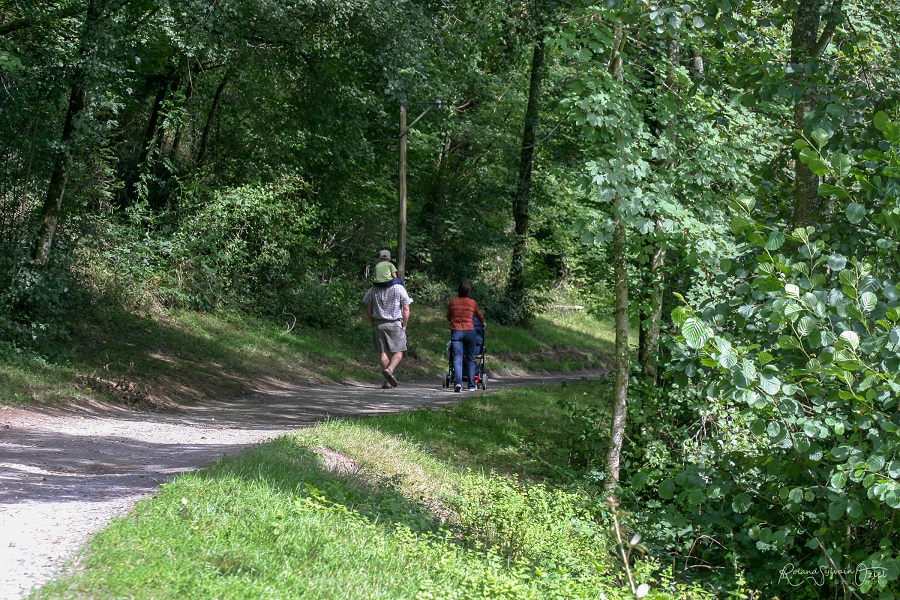 randonné en foret